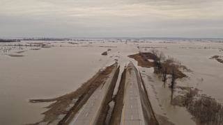 How Historic Flooding in the Midwest Could Fuel the Gulf of Mexico 'Dead Zone'<em></em><em></em>